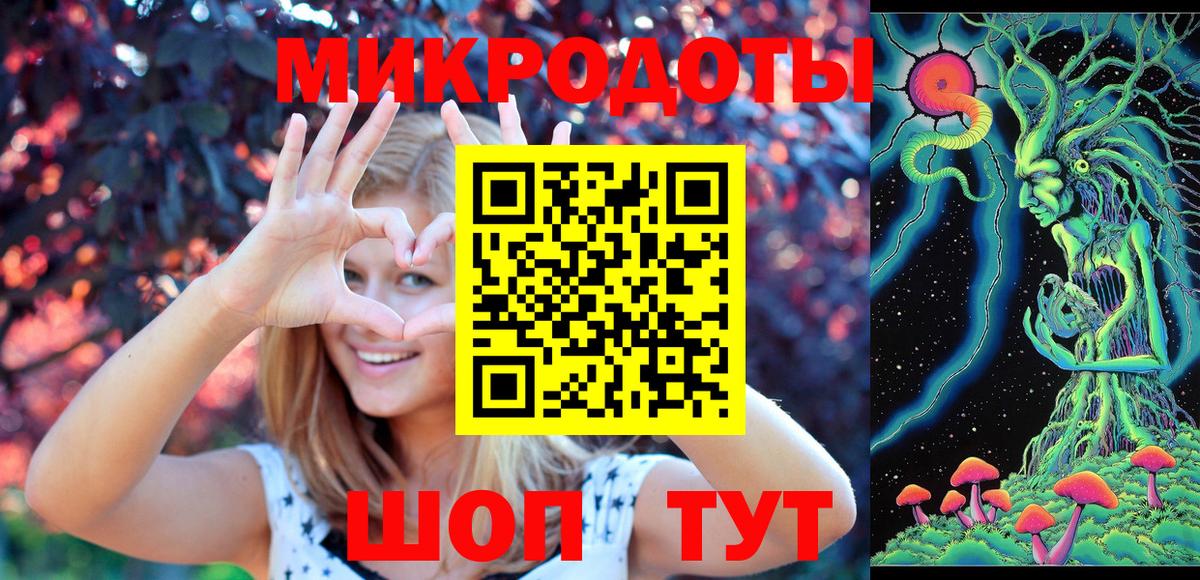 Фурманов  Псилоцибиновые грибы Psilocybine cubensis  Вход с VPN 