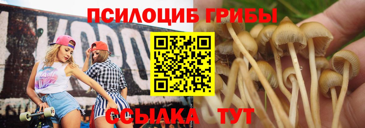 Псилоцибиновые грибы Psilocybine cubensis Фурманов